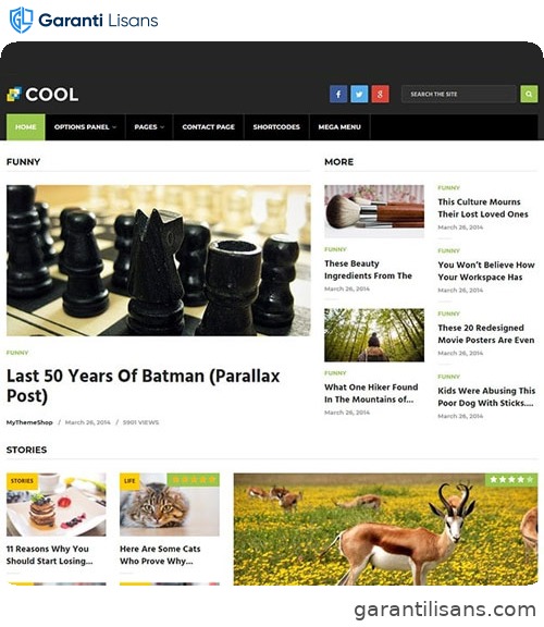 MyThemeShop Cool WordPress Theme