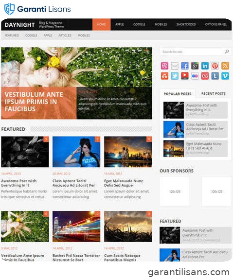 MyThemeShop Daynight WordPress Theme