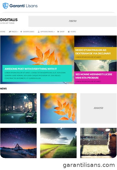 MyThemeShop Digitalis WordPress Theme