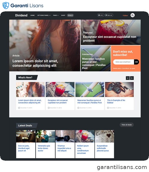 MyThemeShop Dividend WordPress Theme