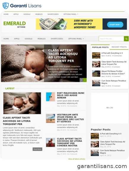 MyThemeShop Emerald WordPress Theme