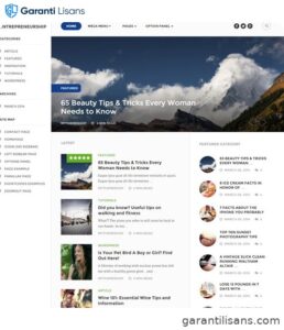 MyThemeShop Entrepreneurship WordPress Theme