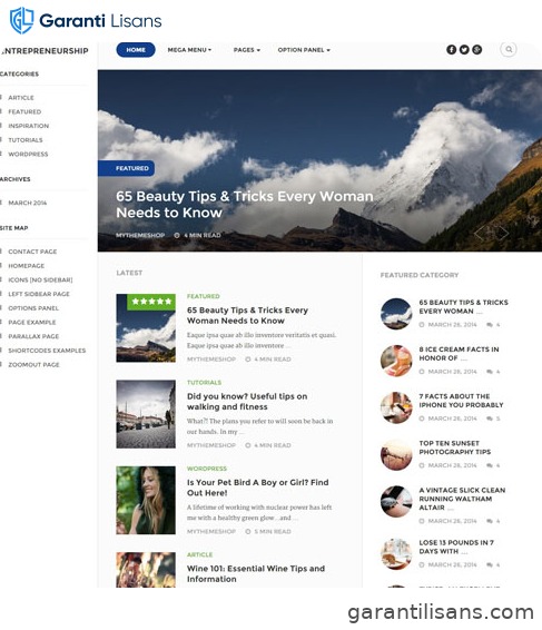 MyThemeShop Entrepreneurship WordPress Theme
