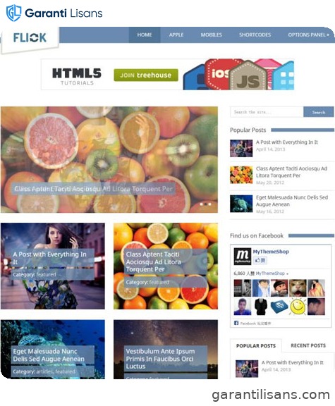 MyThemeShop Flick WordPress Theme
