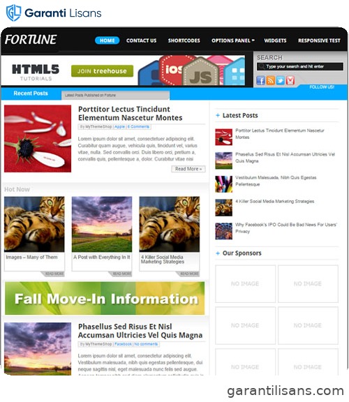 MyThemeShop Fortune WordPress Theme