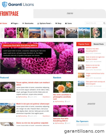 MyThemeShop Frontpage WordPress Theme