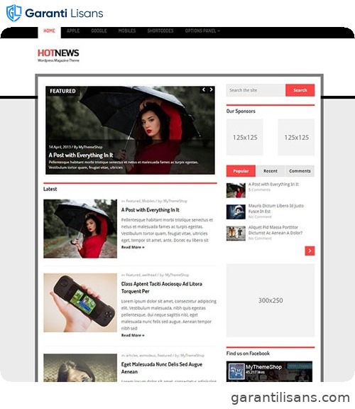 MyThemeShop Hotnews WordPress Theme