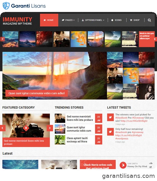 MyThemeShop Immunity WordPress Theme