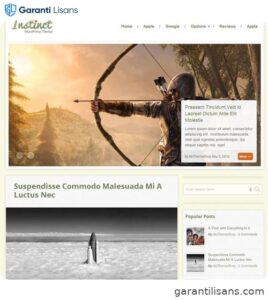 MyThemeShop Instinct WordPress Theme