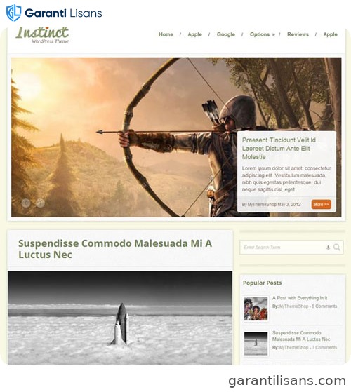 MyThemeShop Instinct WordPress Theme