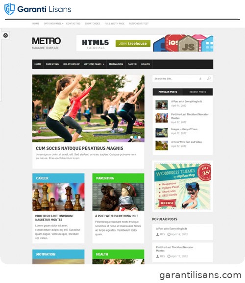 MyThemeShop Metro WordPress Theme