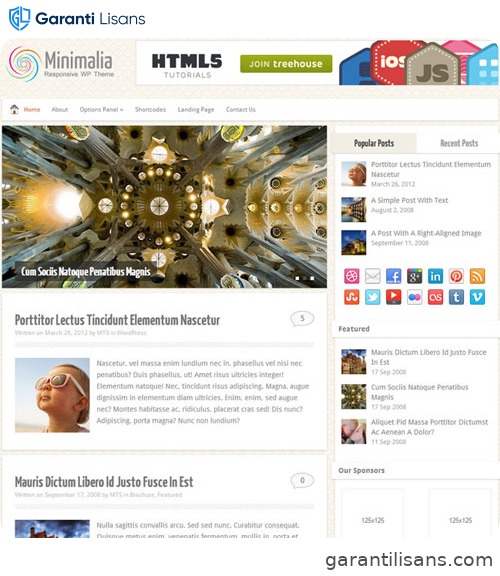 MyThemeShop Minimalia WordPress Theme