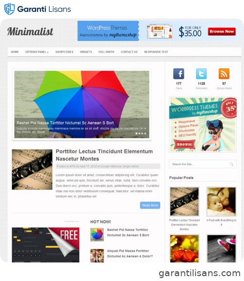 MyThemeShop Minimalist WordPress Theme