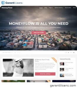 MyThemeShop MoneyFlow WordPress Theme