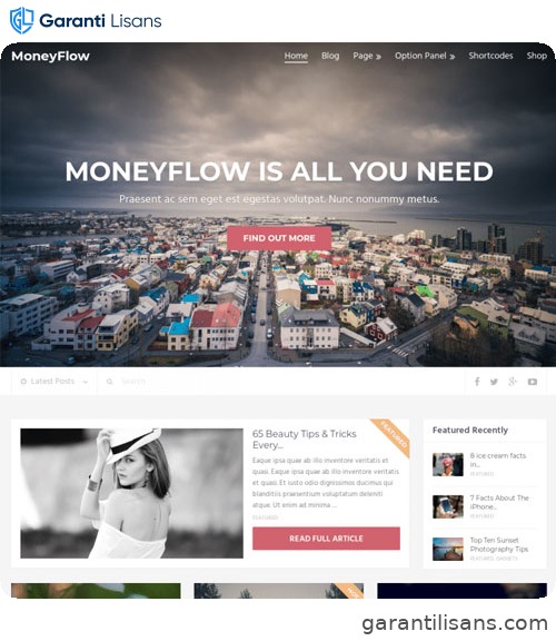 MyThemeShop MoneyFlow WordPress Theme