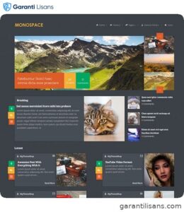 MyThemeShop Monospace WordPress Theme
