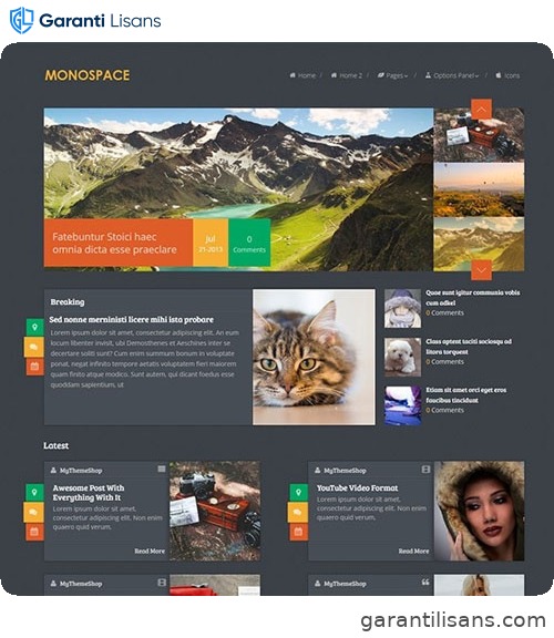 MyThemeShop Monospace WordPress Theme