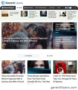 MyThemeShop Newspaper WordPress Theme