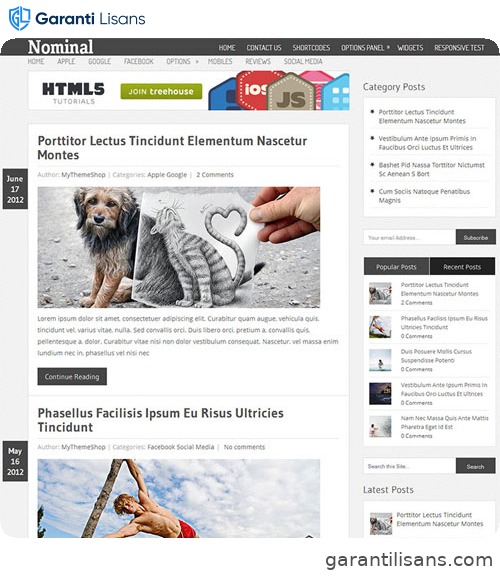 MyThemeShop Nominal WordPress Theme