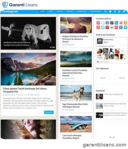 MyThemeShop Pinstagram WordPress Theme