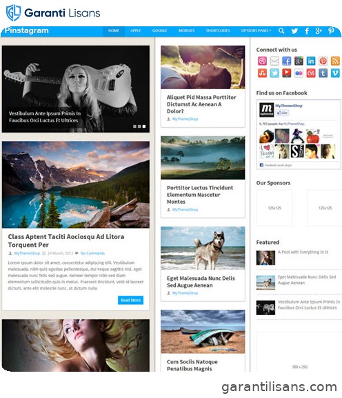 MyThemeShop Pinstagram WordPress Theme