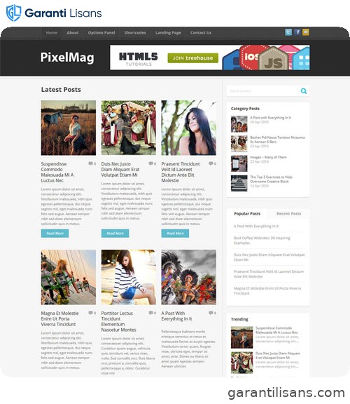 MyThemeShop Pixelmag WordPress Theme
