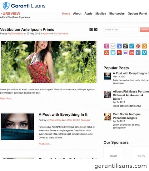 MyThemeShop Pureview WordPress Theme