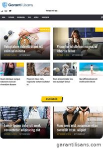 MyThemeShop Reactor WordPress Theme