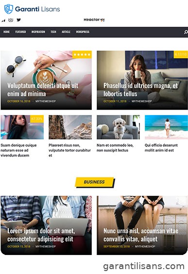 MyThemeShop Reactor WordPress Theme