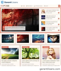 MyThemeShop Repose WordPress Theme