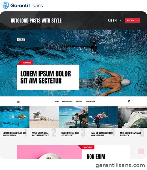 MyThemeShop Risen WordPress Theme