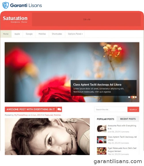 MyThemeShop Saturation WordPress Theme