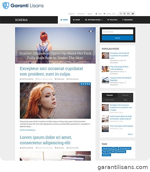 MyThemeShop Schema WordPress Theme