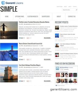 MyThemeShop Simple WordPress Theme