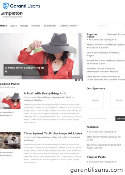 MyThemeShop Simpleton WordPress Theme