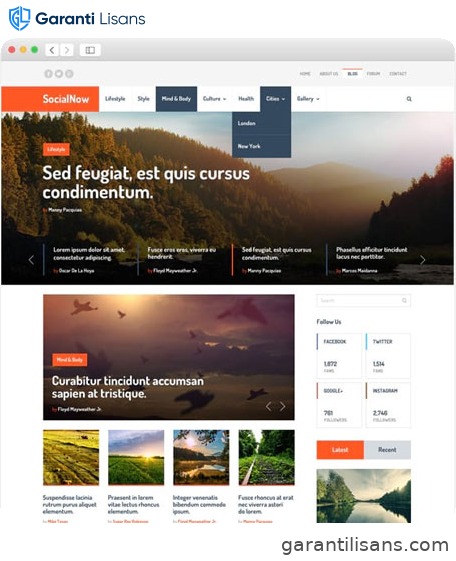 MyThemeShop SocialNow WordPress Theme