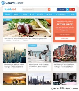 MyThemeShop SociallyViral WordPress Theme