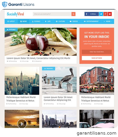 MyThemeShop SociallyViral WordPress Theme