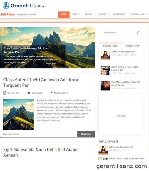 MyThemeShop Softpress WordPress Theme