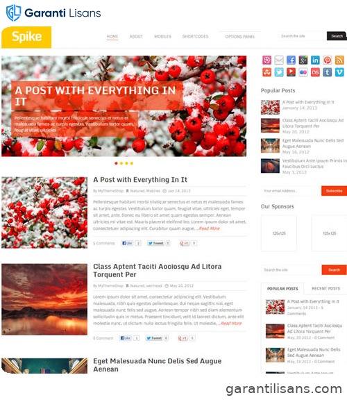 MyThemeShop Spike WordPress Theme