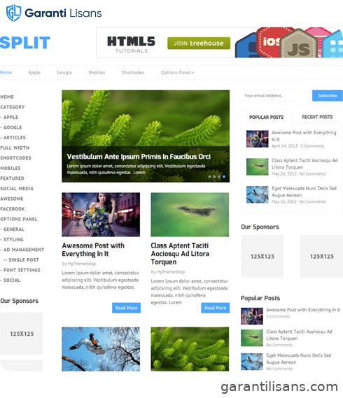 MyThemeShop Split WordPress Theme