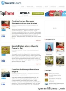 MyThemeShop Top WordPress Theme
