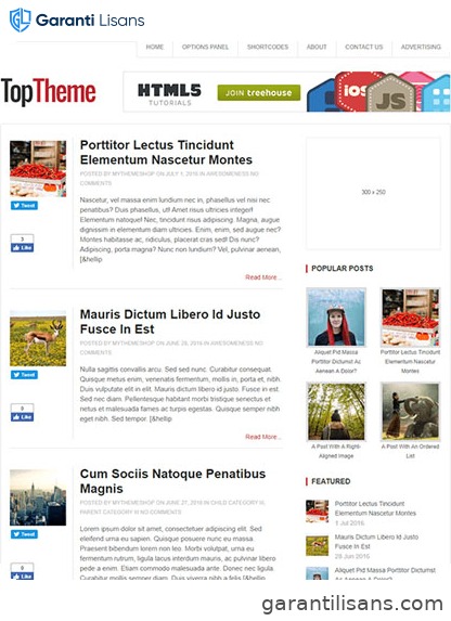 MyThemeShop Top WordPress Theme