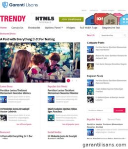 MyThemeShop Trendy WordPress Theme