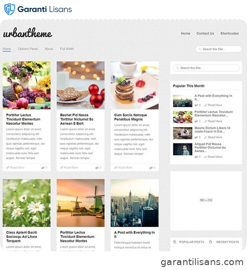 MyThemeShop Urban WordPress Theme
