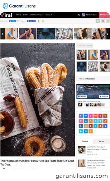 MyThemeShop Viral WordPress Theme