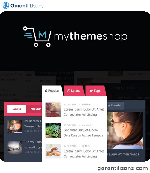 MyThemeShop WP Tab Widget Pro