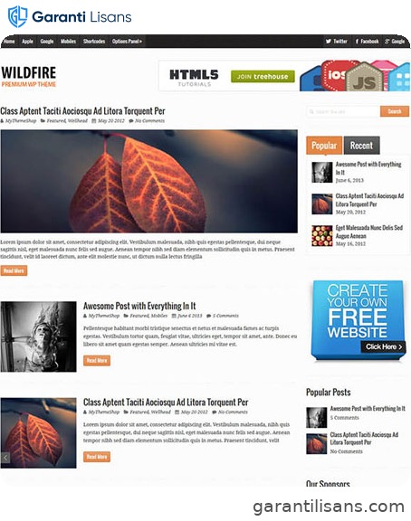 MyThemeShop Wildfire WordPress Theme