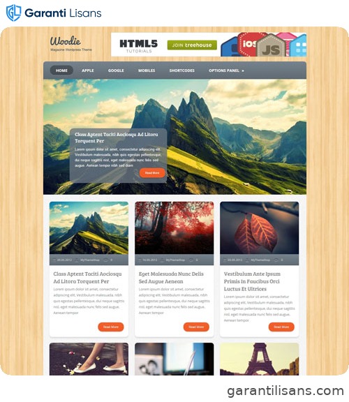 MyThemeShop Woodie WordPress Theme