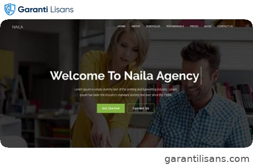 Naila – One Page MultiPurpose WordPress Theme